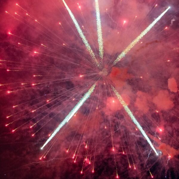 pexels-grigoriy-3808567-9906410